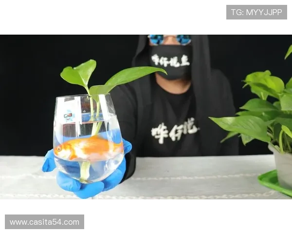 博鱼ag游戏种类丰富多样满足不同玩家的多样需求