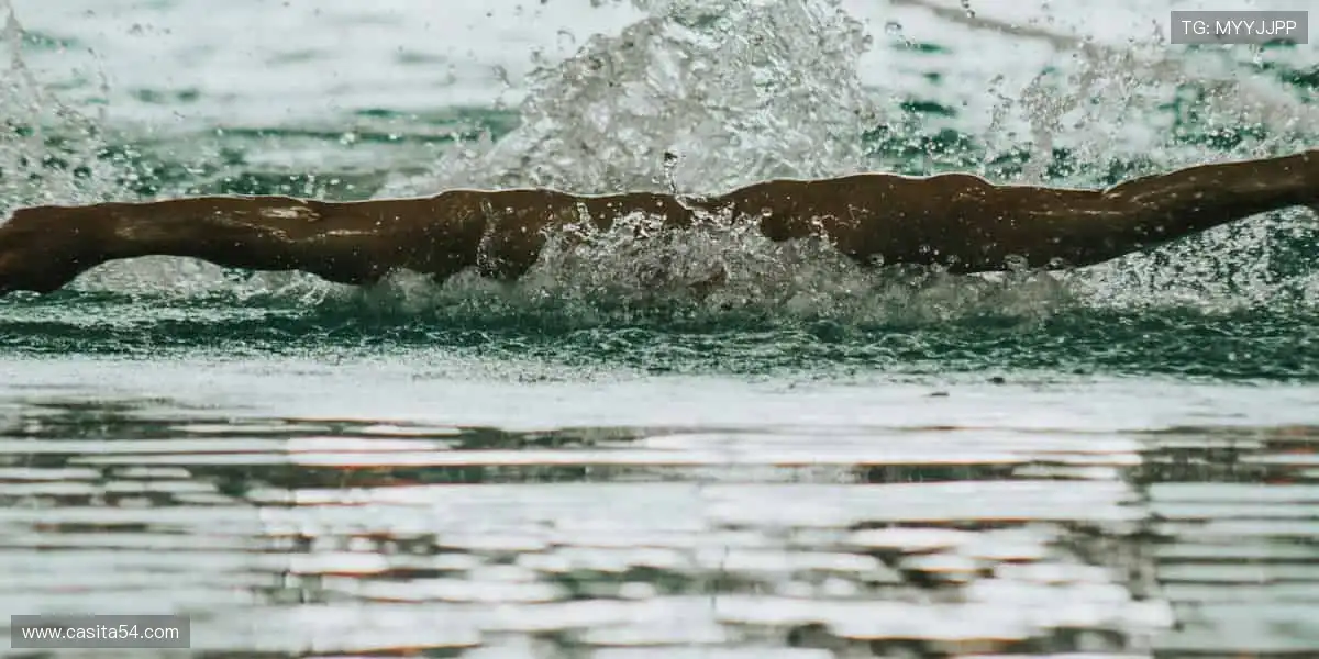 网络游戏赛季系统：定期更新奖励内容，保持玩家参与度